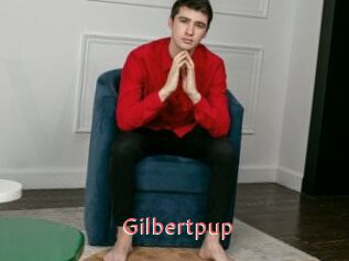 Gilbertpup