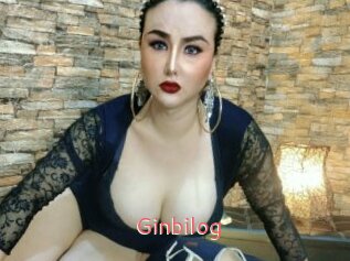 Ginbilog