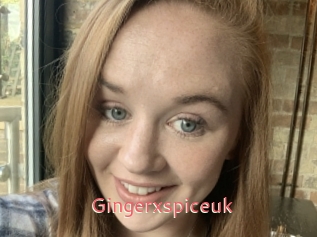 Gingerxspiceuk