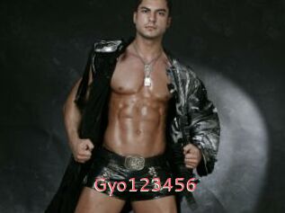 Gyo123456