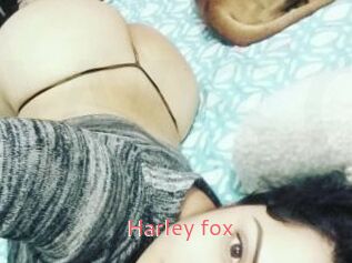 Harley_fox