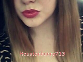 Houstonbunny713