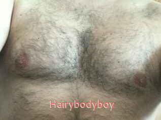 Hairybodyboy
