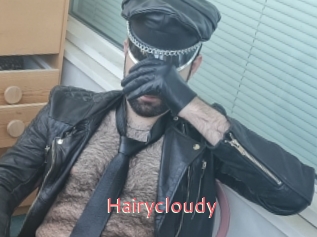 Hairycloudy
