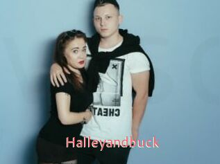 Halleyandbuck