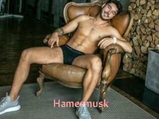 Hamermusk