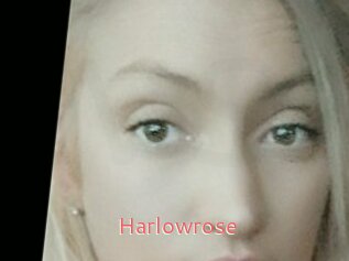 Harlowrose