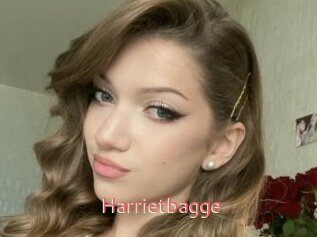 Harrietbagge