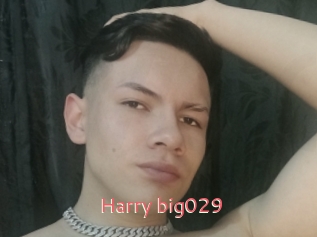 Harry_big029