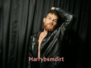 Harrybsmdirt