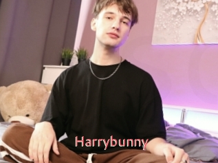 Harrybunny