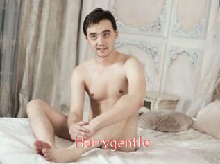 Harrygentle