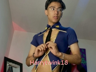 Harrytwink18