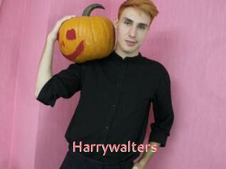 Harrywalters