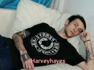 Harveyhayes