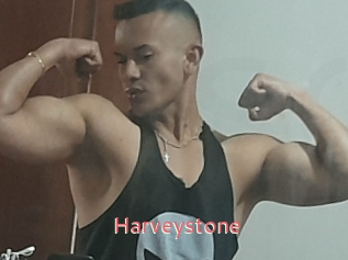Harveystone