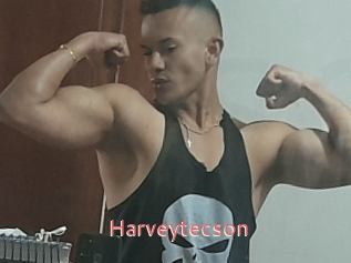 Harveytecson