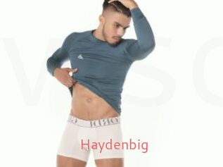 Haydenbig