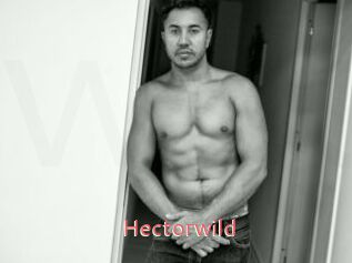 Hectorwild