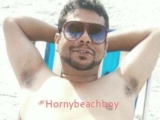 Hornybeachboy