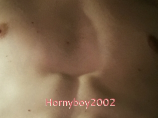 Hornyboy2002