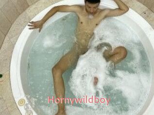 Hornywildboy