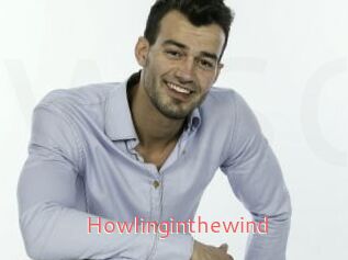 Howlinginthewind