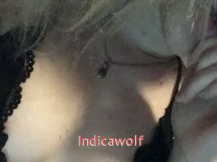 Indicawolf