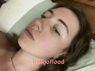 Indigoflood