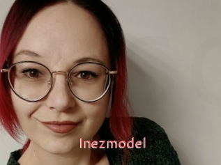 Inezmodel