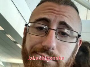 Jakesbigsnake