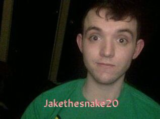 Jakethesnake20