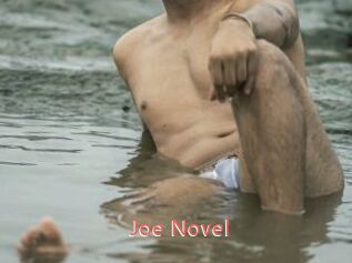 Joe_Novel