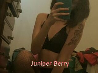 Juniper_Berry