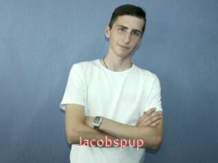 Jacobspup
