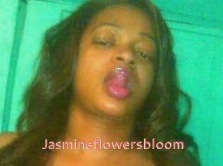 Jasmineflowersbloom