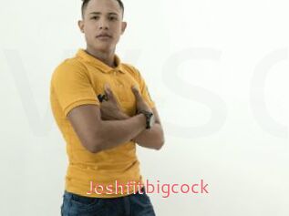 Joshfitbigcock