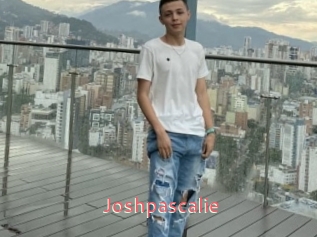 joshpascalie Webcam Sexe Direct