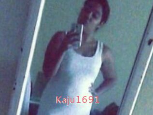 Kaju1691