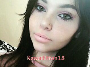 Kawaikitten18