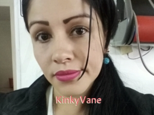 KinkyVane