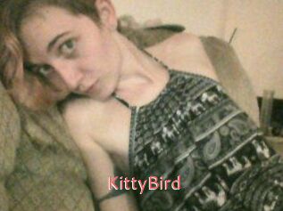 KittyBird