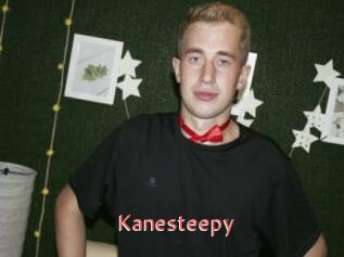 Kanesteepy