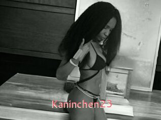 Kaninchen23