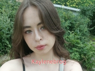 Kaylenebrog