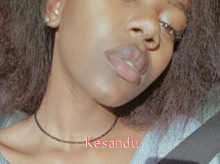 Kesandu
