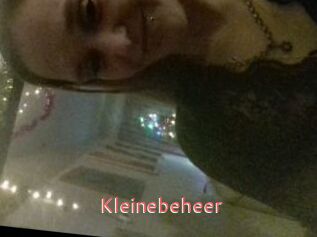 Kleinebeheer