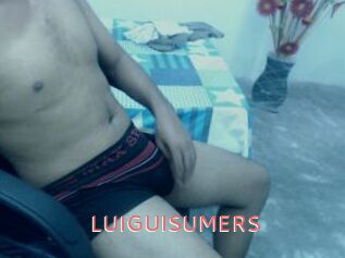 LUIGUISUMERS