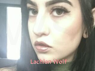 Lachlan_Wolf