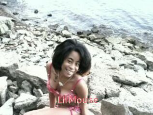 LilMouse